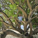 ���������� �������, ���� ������� ��������, 47 ���, ������������ ��� ������, ����� � ���������, c�������� ���������