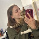 ���������� ������, ���� ������� ������, 24 ����, ������������ ��� ������, ����� � ���������, c�������� ���������