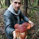 ���������� ������, ���� ������� ����, 46 ���, ������������ ��� ������, ����� � ���������, c�������� ���������