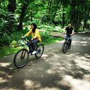 ���������� �������, ���� ����� ����, 22 ����, ������������ ��� ������, ����� � ���������