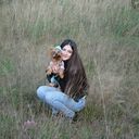  ,   , 33 ,     , c 