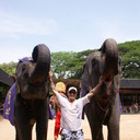  ,   , 53 ,   ,   , c 