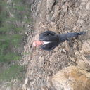  ,   Pavel, 41 ,  