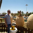 ���������� ������, ���� ������� �������, 37 ���, ������������ ��� ������, ����� � ���������, c�������� ���������