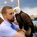 ���������� �����, ���� ������� �����, 36 ���, ������������ ��� ����� � ���������, c�������� ���������