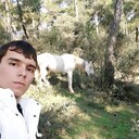  ,   , 31 ,   , c 