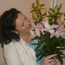 ���������� �����, ���� ������� ����, 43 ����, ������������ ��� ������, ����� � ���������, c�������� ���������