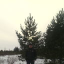  ,   Igorexa, 39 ,   ,   , c 