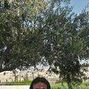 ���������� ������, ���� ������� Roman, 49 ���, ������������ ��� ������, ����� � ���������, c�������� ���������