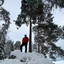 ���������� �����-���������, ���� ������� �����, 34 ����, ������������ ��� ������, ����� � ���������