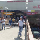 ���������� ��������, ���� ������� ������, 38 ���, ������������ ��� ������, ���������