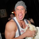 ���������� ����, ���� ������� ����, 45 ���, ������������ ��� ������, ����� � ���������, c�������� ���������