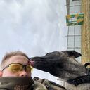 ���������� �����, ���� ����� ������, 20 ���, ������������ ��� ������, ����� � ���������, c�������� ���������