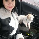 ���������� ���������, ���� ������� ���������, 42 ����, ������������ ��� c�������� ���������