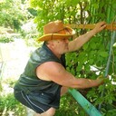 ���������� ������, ���� ������� ������, 63 ����, ������������ ��� ������, ����� � ���������