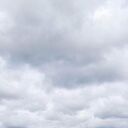 ���������� �����-���������, ���� ������� ���������, 31 ���, ������������ ��� ������, ����� � ���������