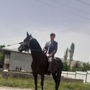  ,   Khibbat, 22 ,     , c 