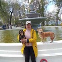  ,   , 67 ,     , c 