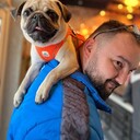 ���������� ���������, ���� ������� ����, 30 ���, ������������ ��� ������, ����� � ���������