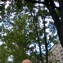  -,   , 49 ,   