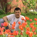 ���������� ������, ���� ������� ������, 55 ���, ������������ ��� ������, ����� � ���������, c�������� ���������