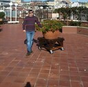  ,   , 51 ,   , 