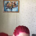   ,   , 33 ,   