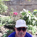  ,   Tevekkul, 70 ,   