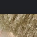  ,   Vrej, 39 ,   ,   , c 