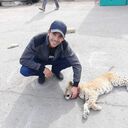  ,   , 35 ,   ,   