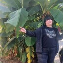 ���������� �������, ���� ������� ��������, 54 ����, ������������ ��� ����� � ���������, c�������� ���������