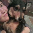 ���������� ������, ���� ������� ��������, 23 ����, ������������ ��� ������, ����� � ���������