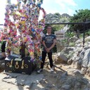 ���������� �����������, ���� ������� ������, 28 ���, ������������ ��� ������, ����� � ���������, c�������� ���������