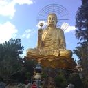 ���������� �����������, ���� ������� ����, 43 ����, ������������ ��� ������