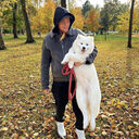 ���������� ������, ���� ������� ������, 31 ���, ������������ ��� ������, ����� � ���������, c�������� ���������