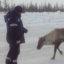 ���������� ���������, ���� ������� ����, 50 ���, ������������ ��� ������, ����� � ���������, c�������� ���������, ���������