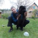 ���������� ����������, ���� ������� ������, 38 ���, ������������ ��� ������, ����� � ���������, c�������� ���������