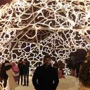 ���������� ������, ���� ������� �����, 35 ���, ������������ ��� ������