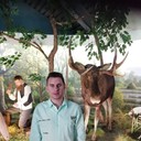 ���������� �����, ���� ������� ������, 34 ����, ������������ ��� ������, ����� � ���������, c�������� ���������