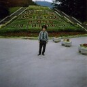  ,   , 37 ,   ,   