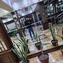 ���������� ���������, ���� ����� ���, 24 ����, ������������ ��� ������, ����� � ���������, c�������� ���������