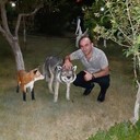 ���������� ����, ���� ������� Roma, 38 ���, ������������ ��� ������, ����� � ���������, c�������� ���������