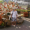  ,   , 52 ,  