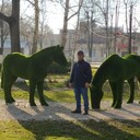 ���������� ���������, ���� ������� ������, 49 ���, ������������ ��� ������, ����� � ���������