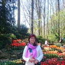  ,   , 55 ,   ,   , c 