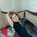 ���������� �����, ���� ������� �������, 46 ���, ������������ ��� ����� � ���������, c�������� ���������