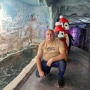 ���������� �����, ���� ������� ������, 41 ���, ������������ ��� ������, ����� � ���������