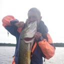 ���������� �����-���������, ���� ������� ���������, 65 ���, ������������ ��� ������, ����� � ���������, c�������� ���������