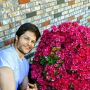 ���������� �����-���������, ���� ������� ������, 33 ����, ������������ ��� ������, ����� � ���������, c�������� ���������, ���������