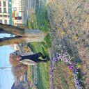 ���������� ����������, ���� ������� �������, 49 ���, ������������ ��� c�������� ���������